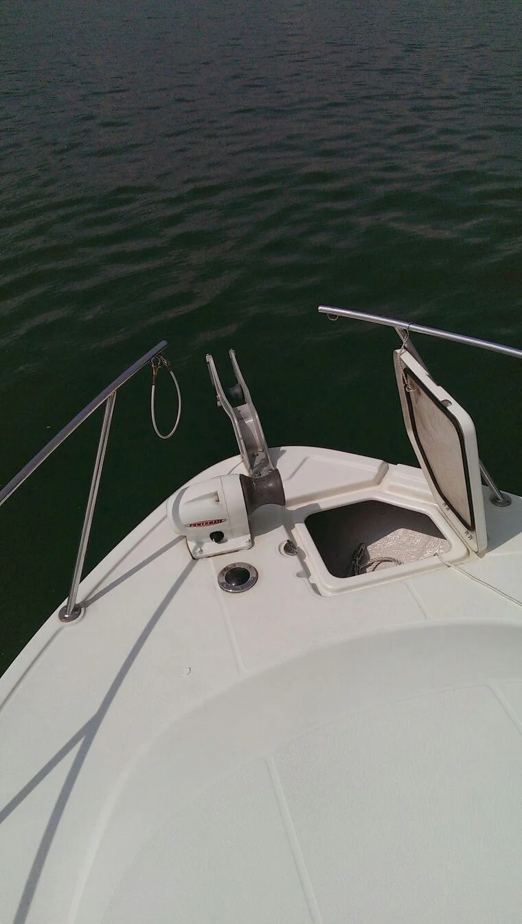 WhatsApp Image 2017-05-05 at 14.15.28.jpeg