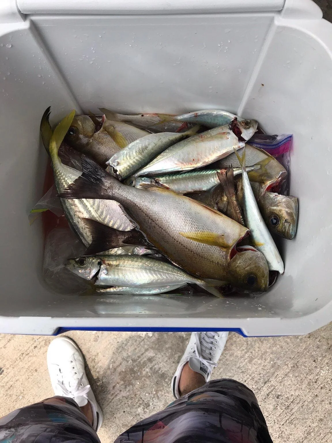 WhatsApp Image 2021-05-09 at 11.22.35 PM.jpeg