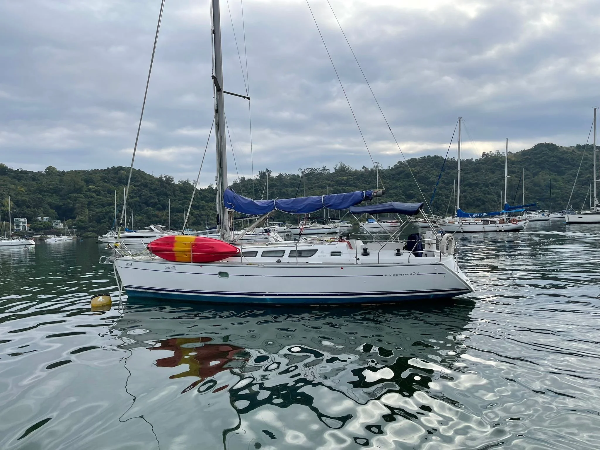 WhatsApp Image 2022-03-09 at 2.48.08 PM.jpeg