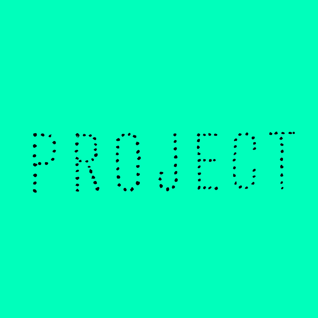 project.gif