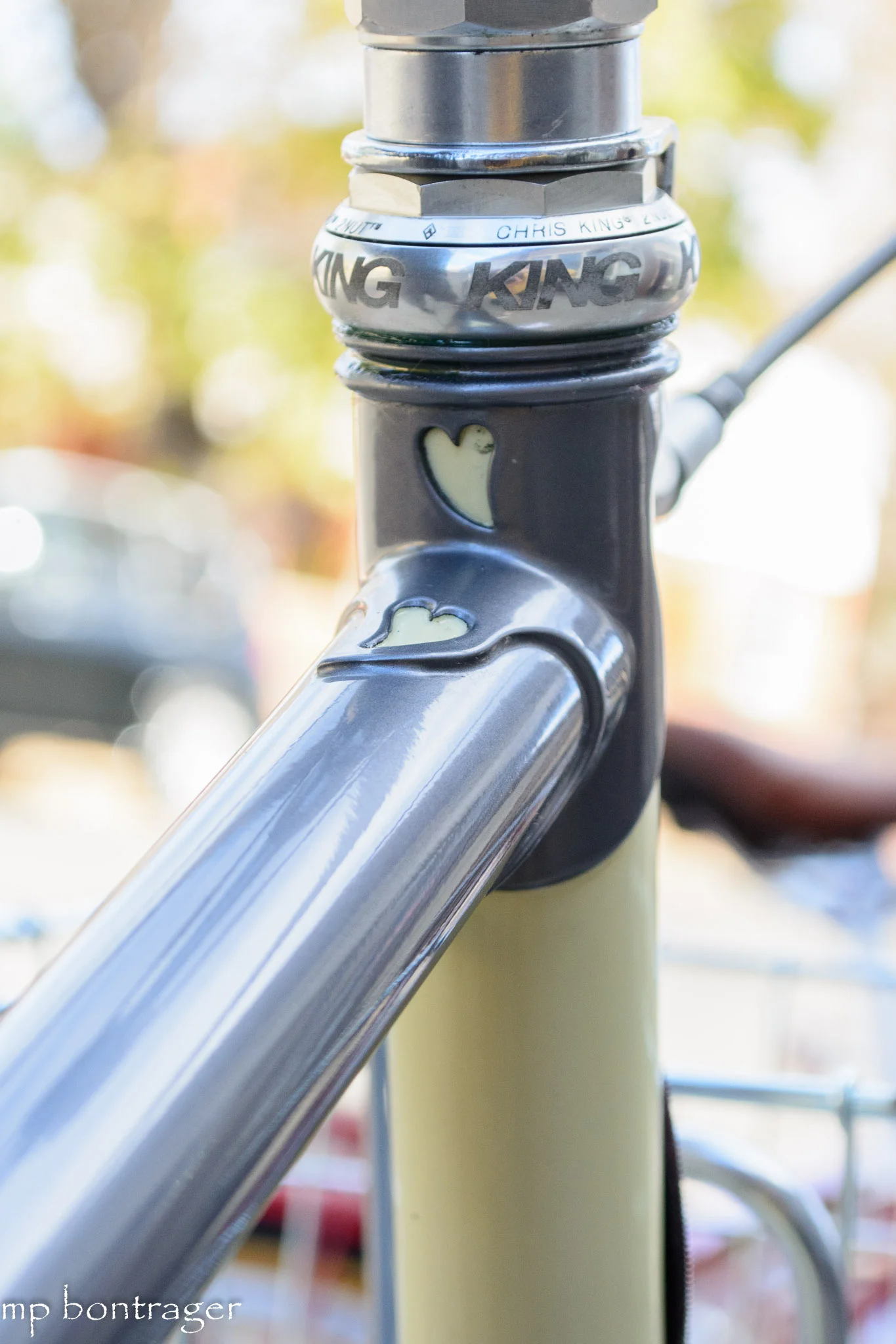 Chris King headset for smooth handling