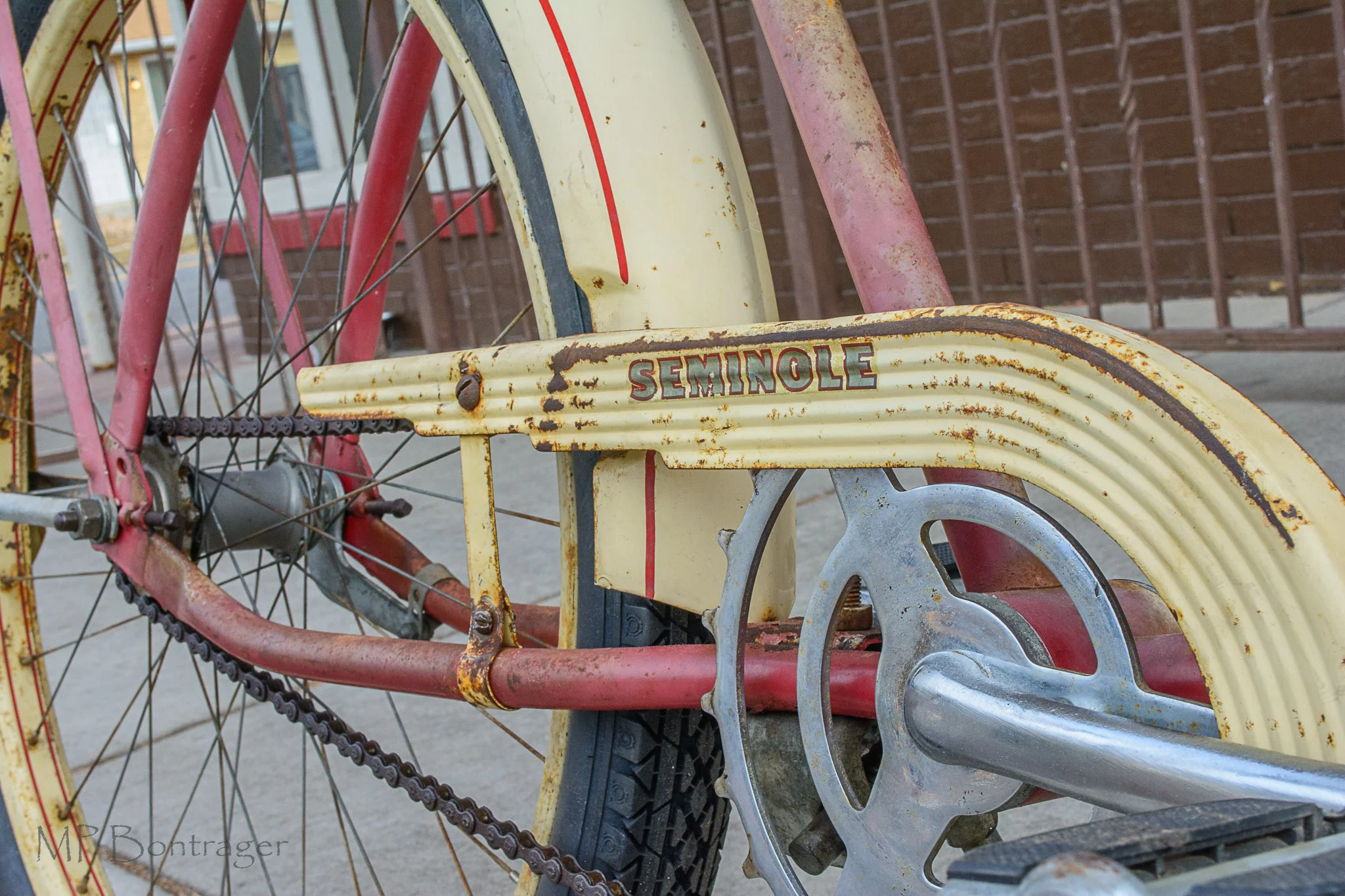 original chainring with chain