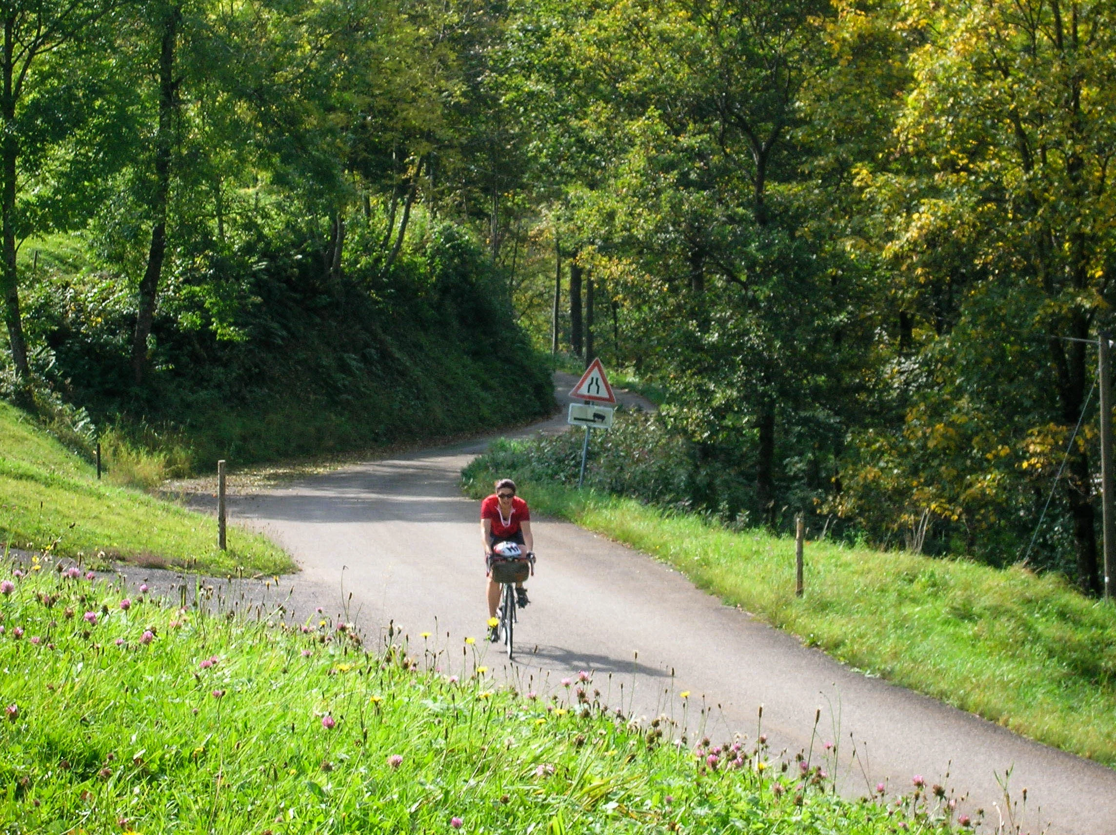 a bicyclist’s dream; mountain passes, flowers in bloom, and no traffic.