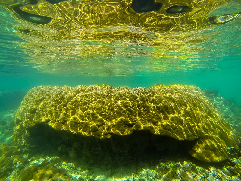 G0782489.jpg