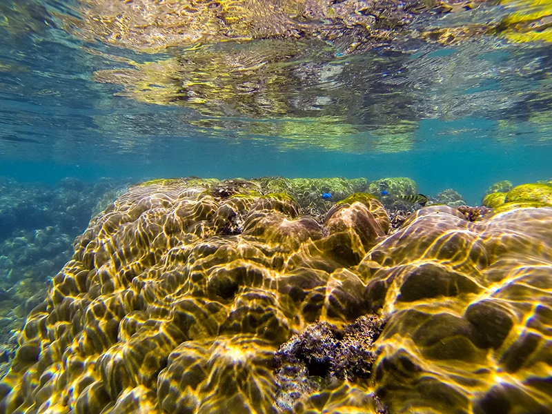 G0792491.jpg