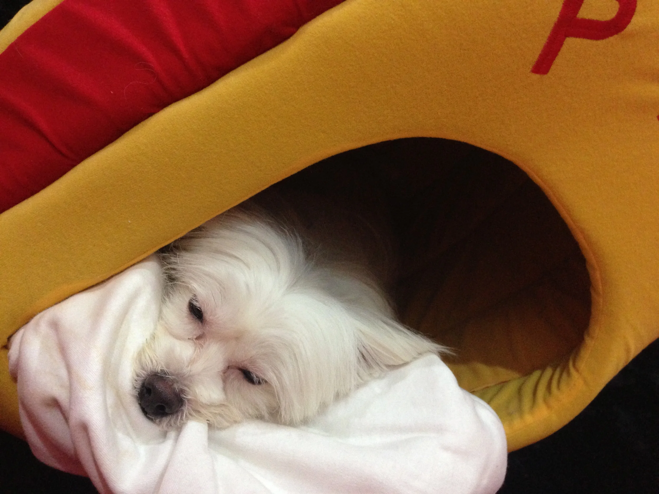 Sleepy head