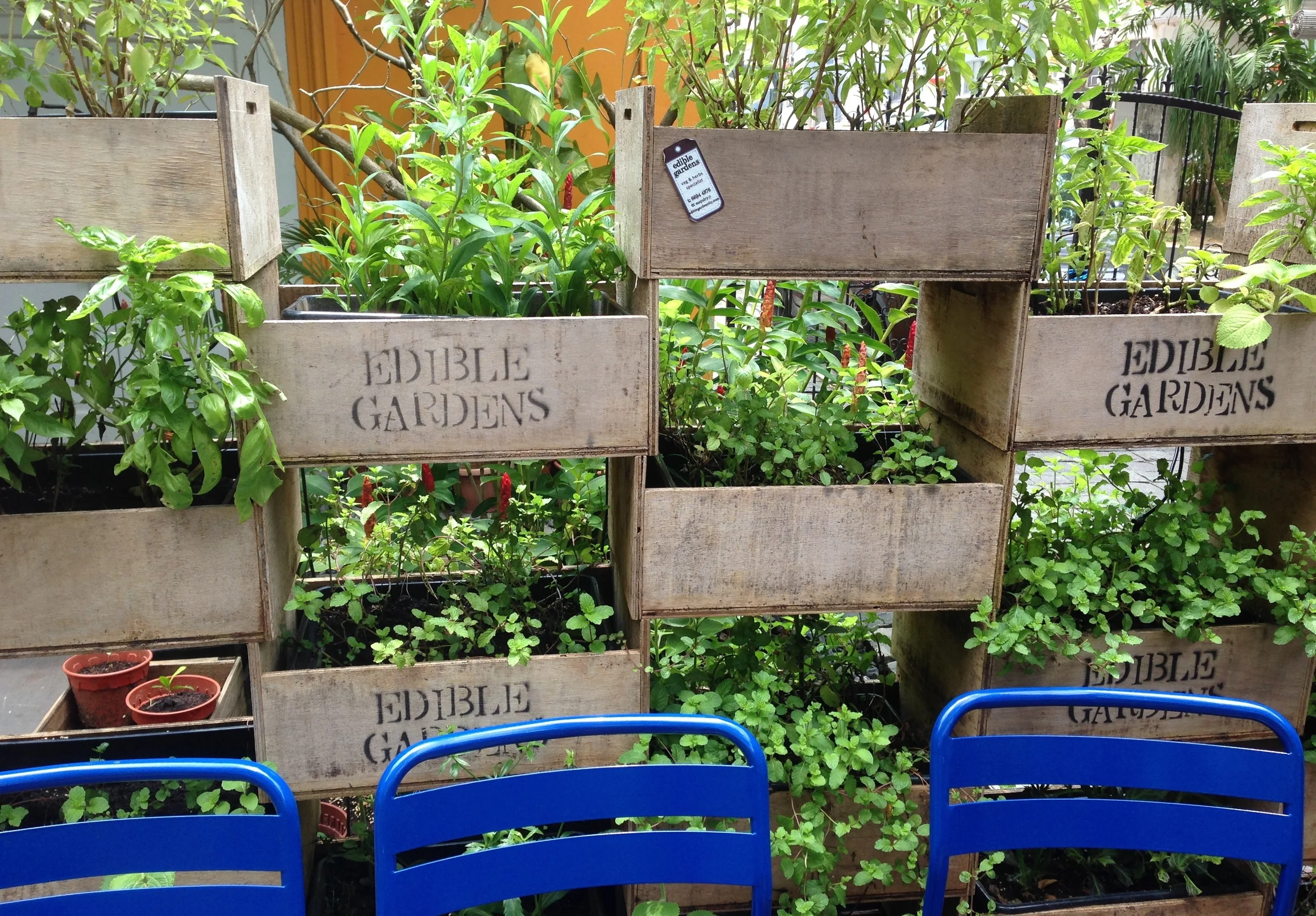 Artichoke Cafe - Edible Gardens