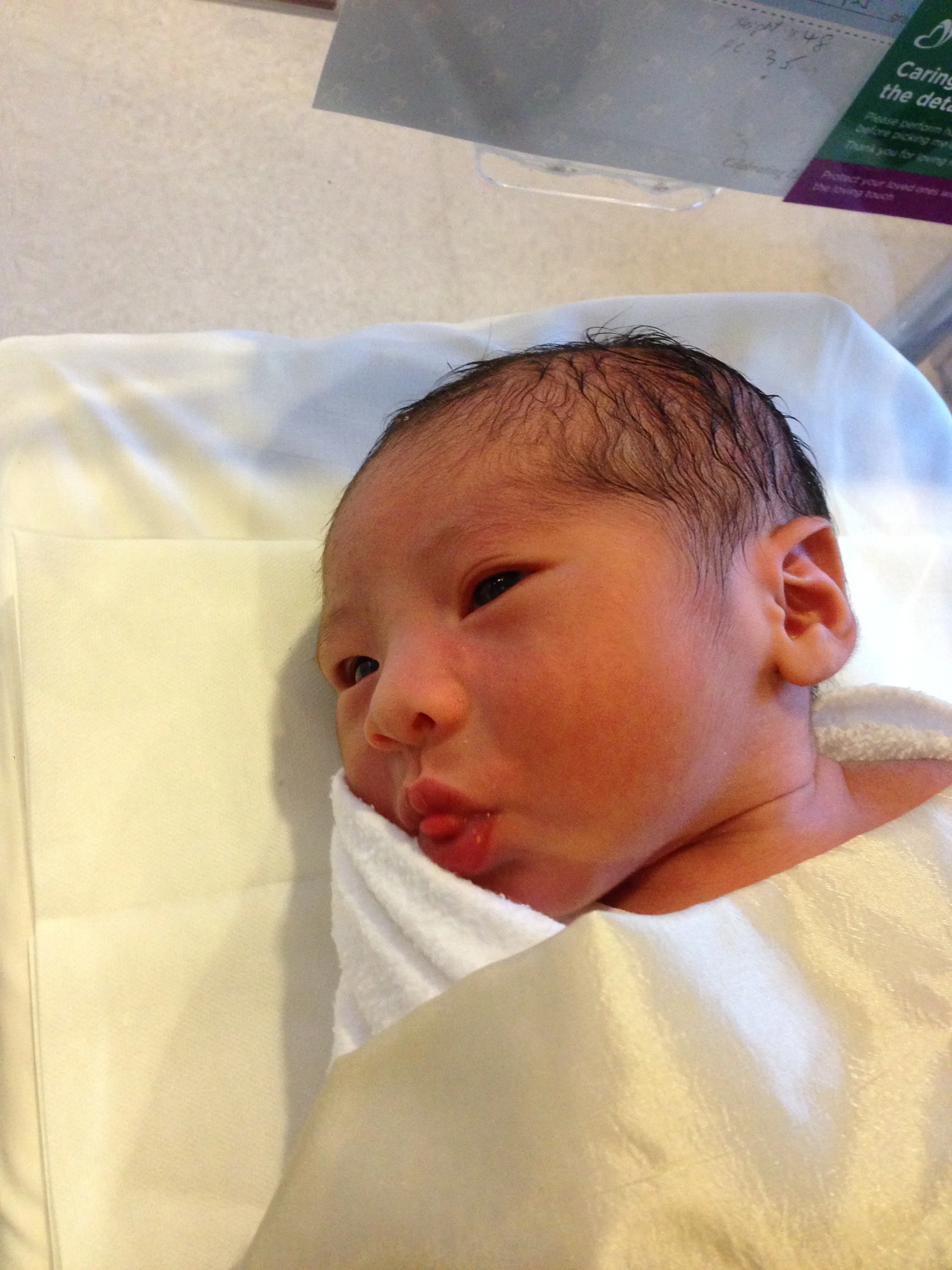 elijah (1).jpg