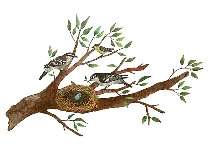 Bird Family 10"x7" Art Print