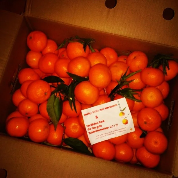 Mandarines_2013.jpg