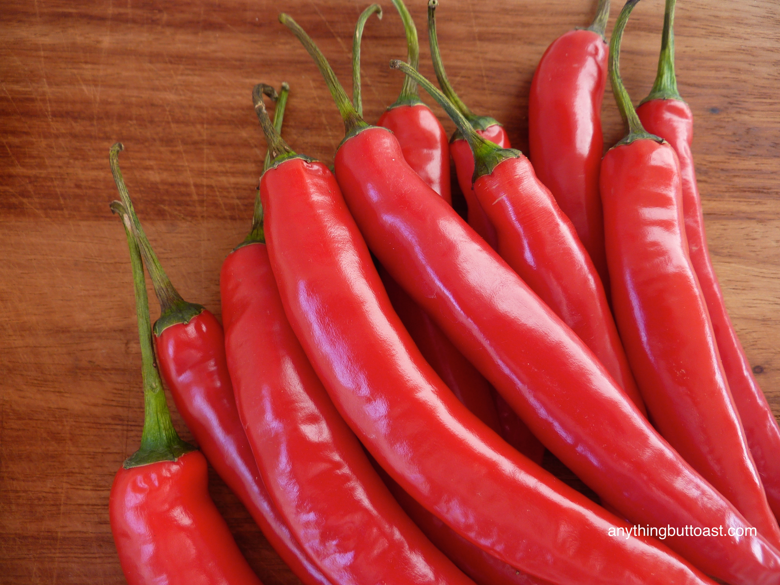 Mild red chillies