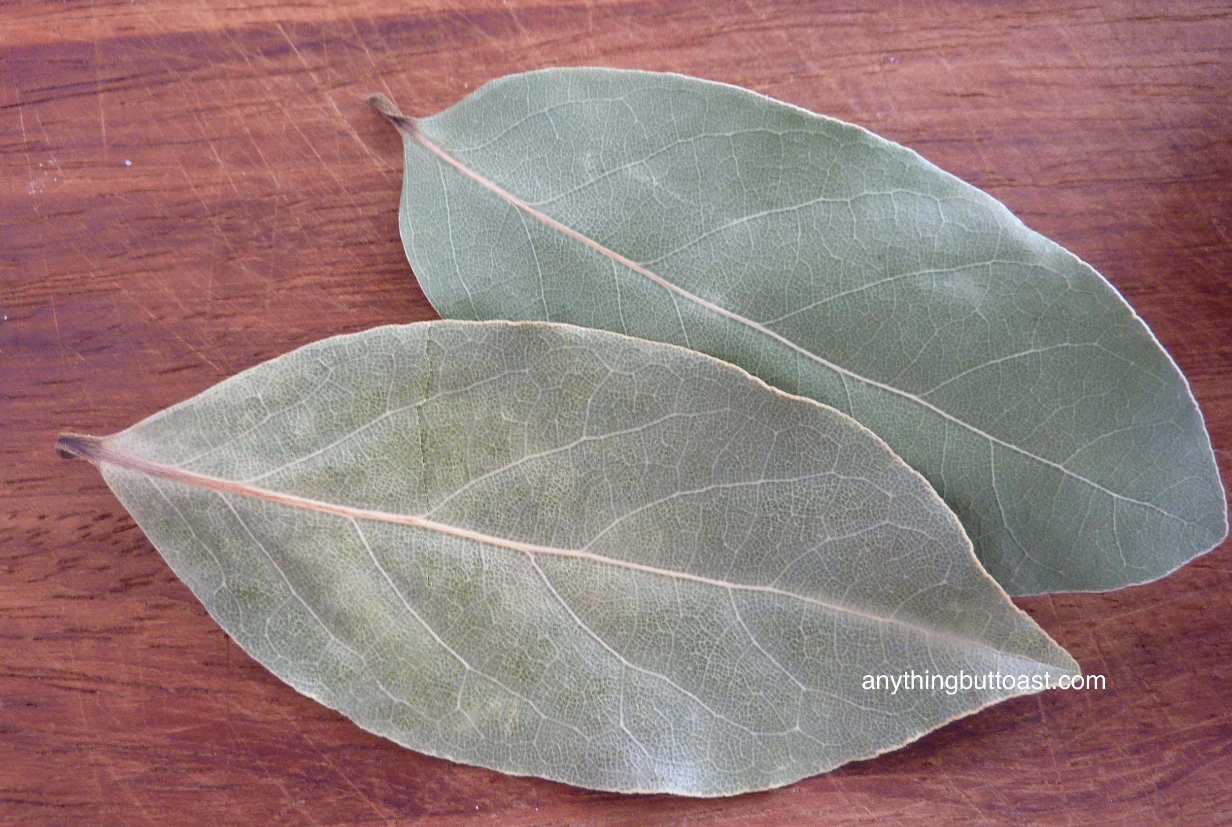 Bay leaves 