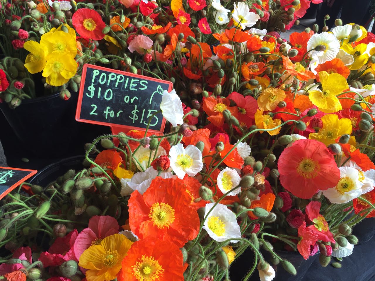 Farmers Market gorgeousness