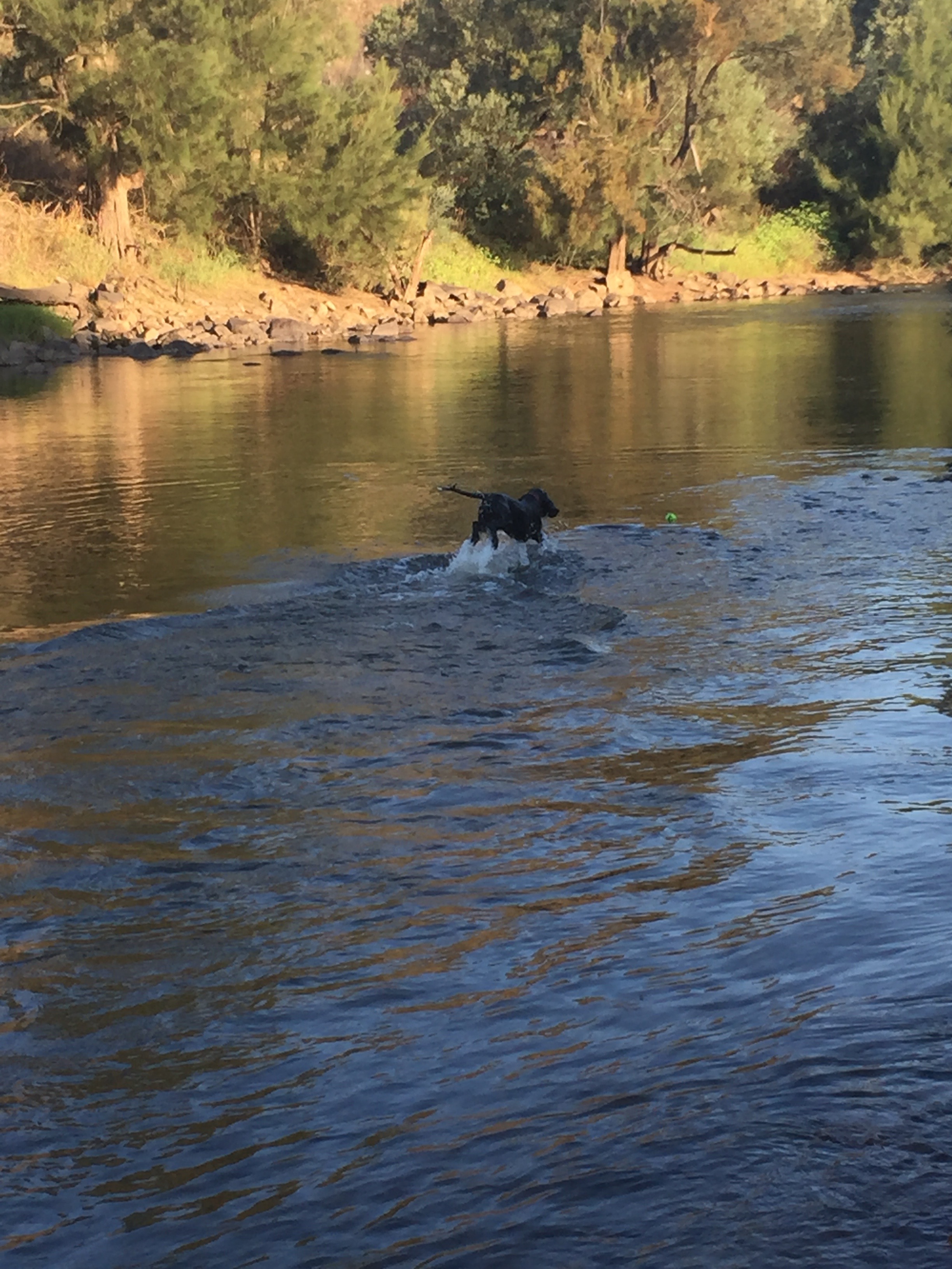 Molonglo River on a hot summer afternoon