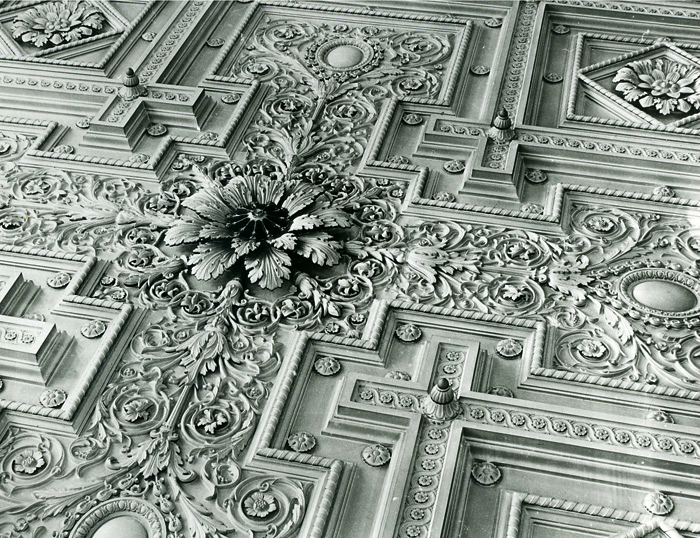 dunedin-ceiling-1883-lowres.png