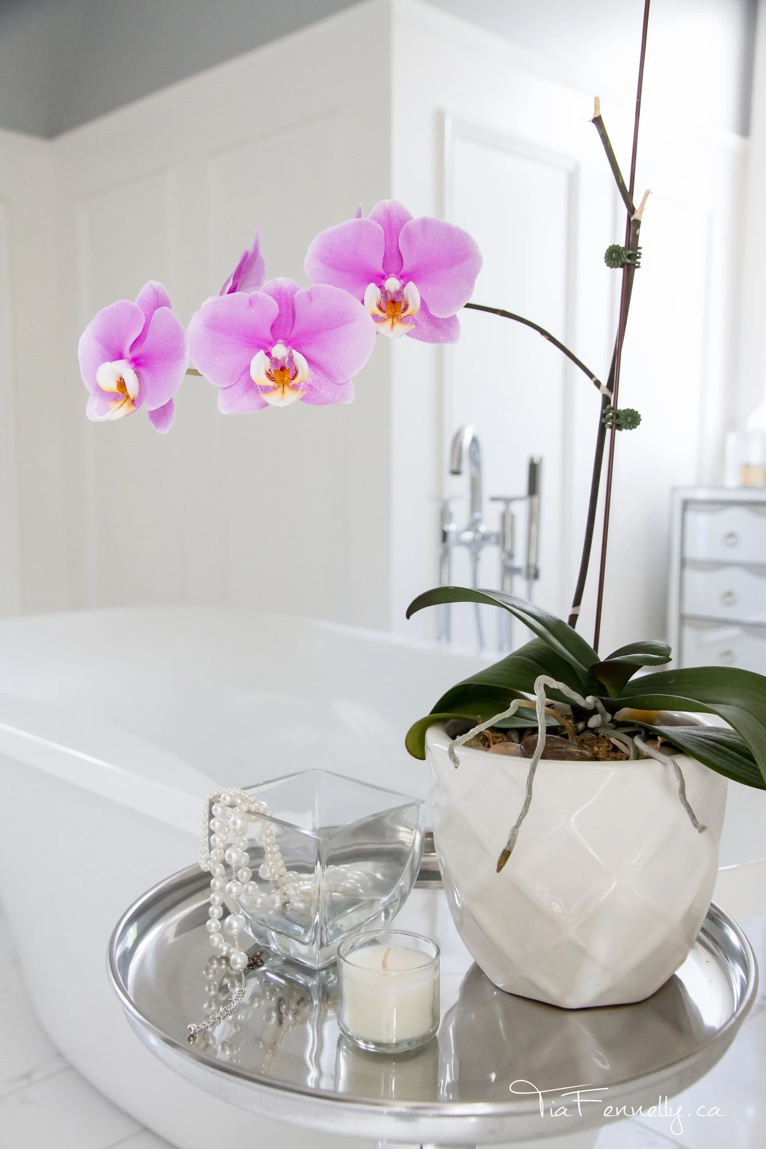 Williams Home-129.jpg