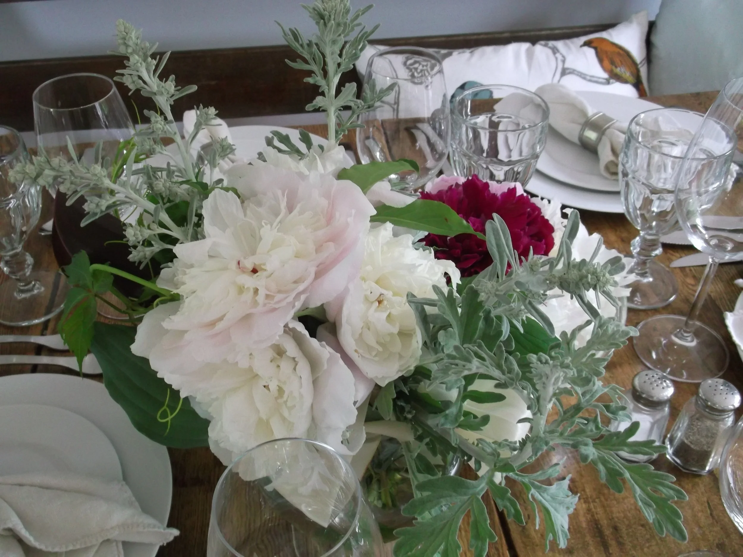 DSCF3503.JPG
