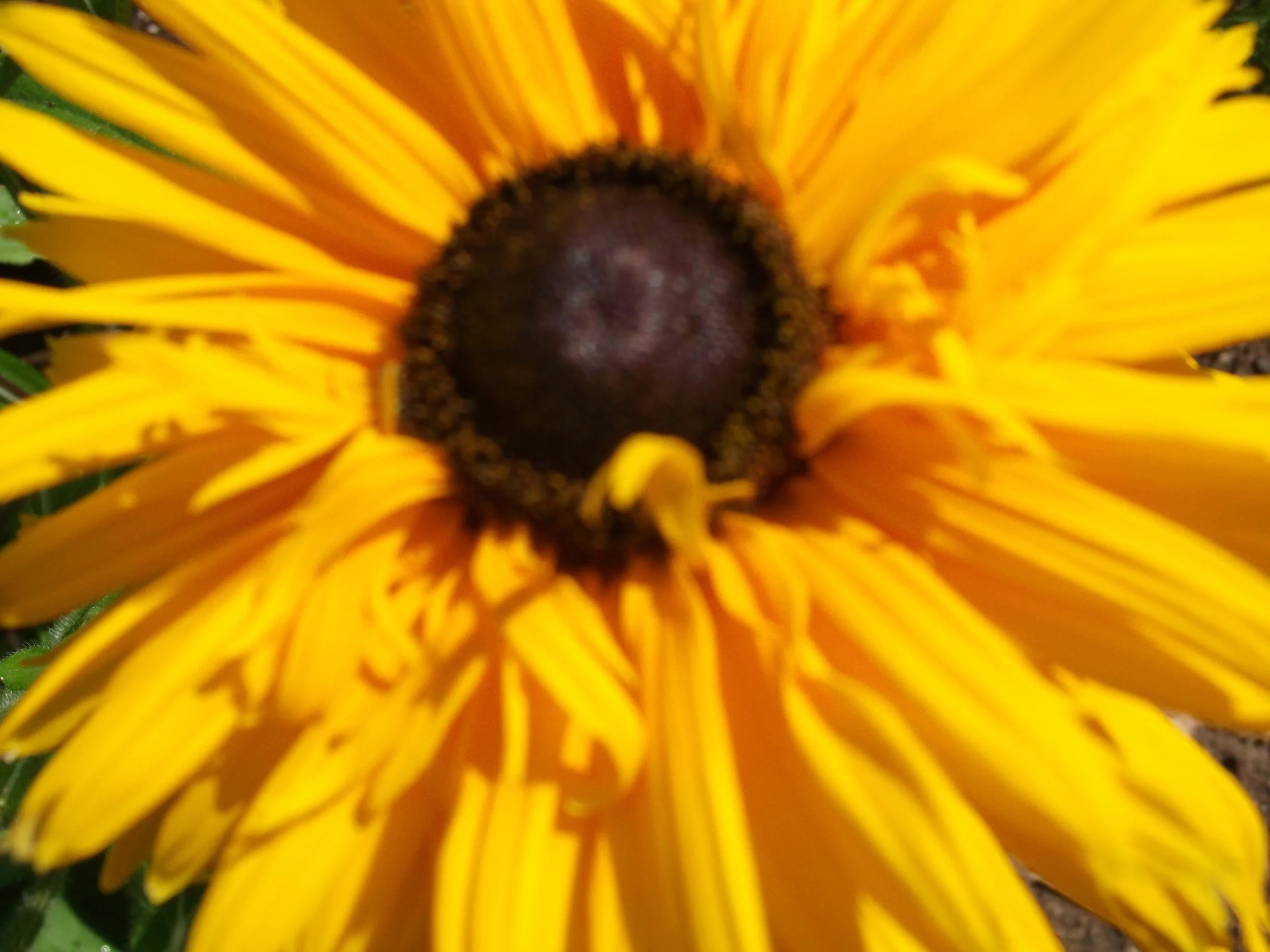 DSCF3603.JPG
