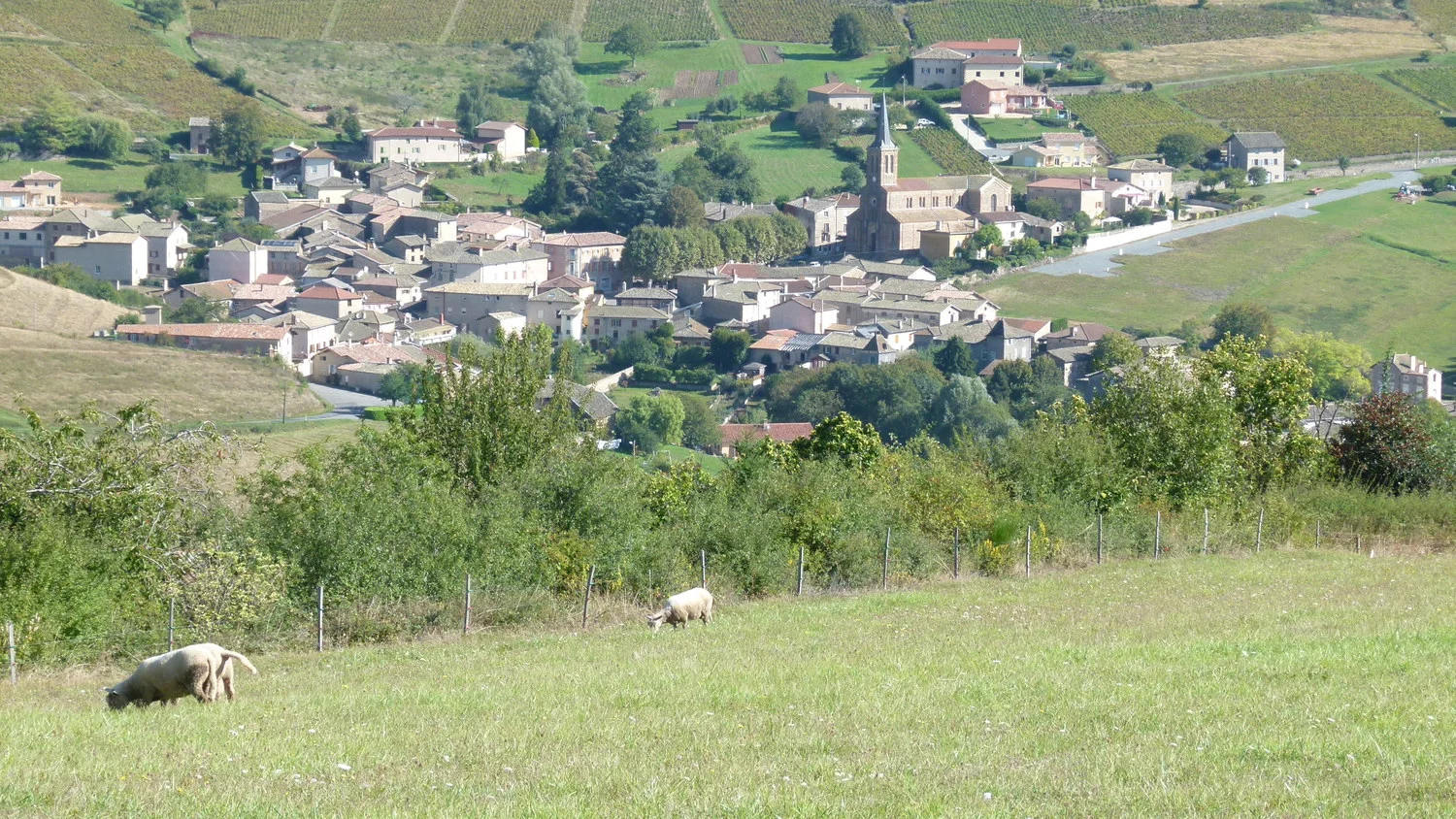 Jullié from Vâtre