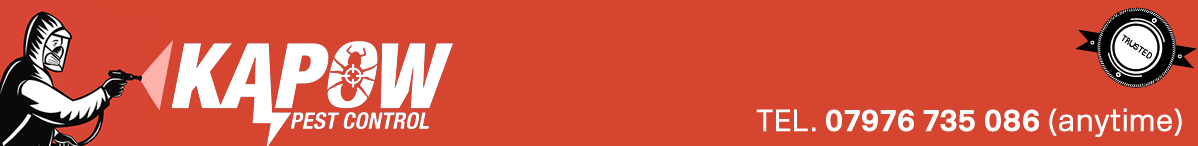 Kapowbanner.png