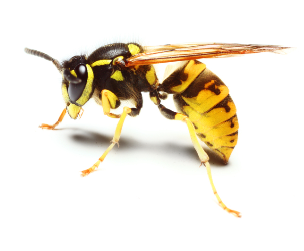 Screen Shot 2013-09-11 at 09.18.12.png