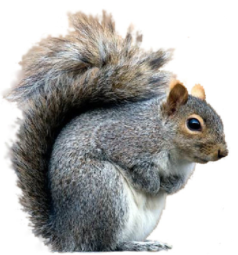 Screen Shot 2015-01-01 at 16.38.38.png