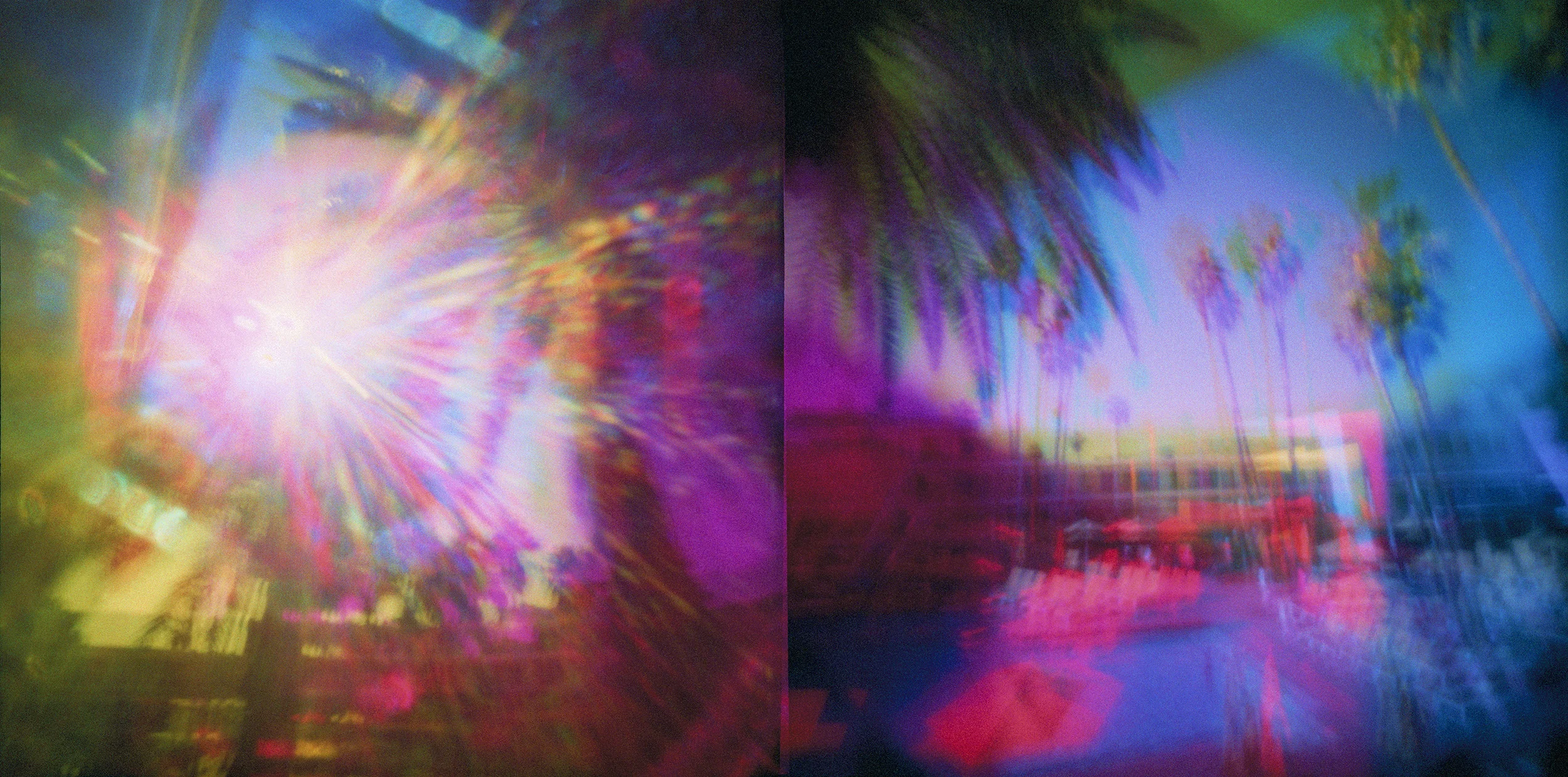 4-soaked in sunlight copy.jpg