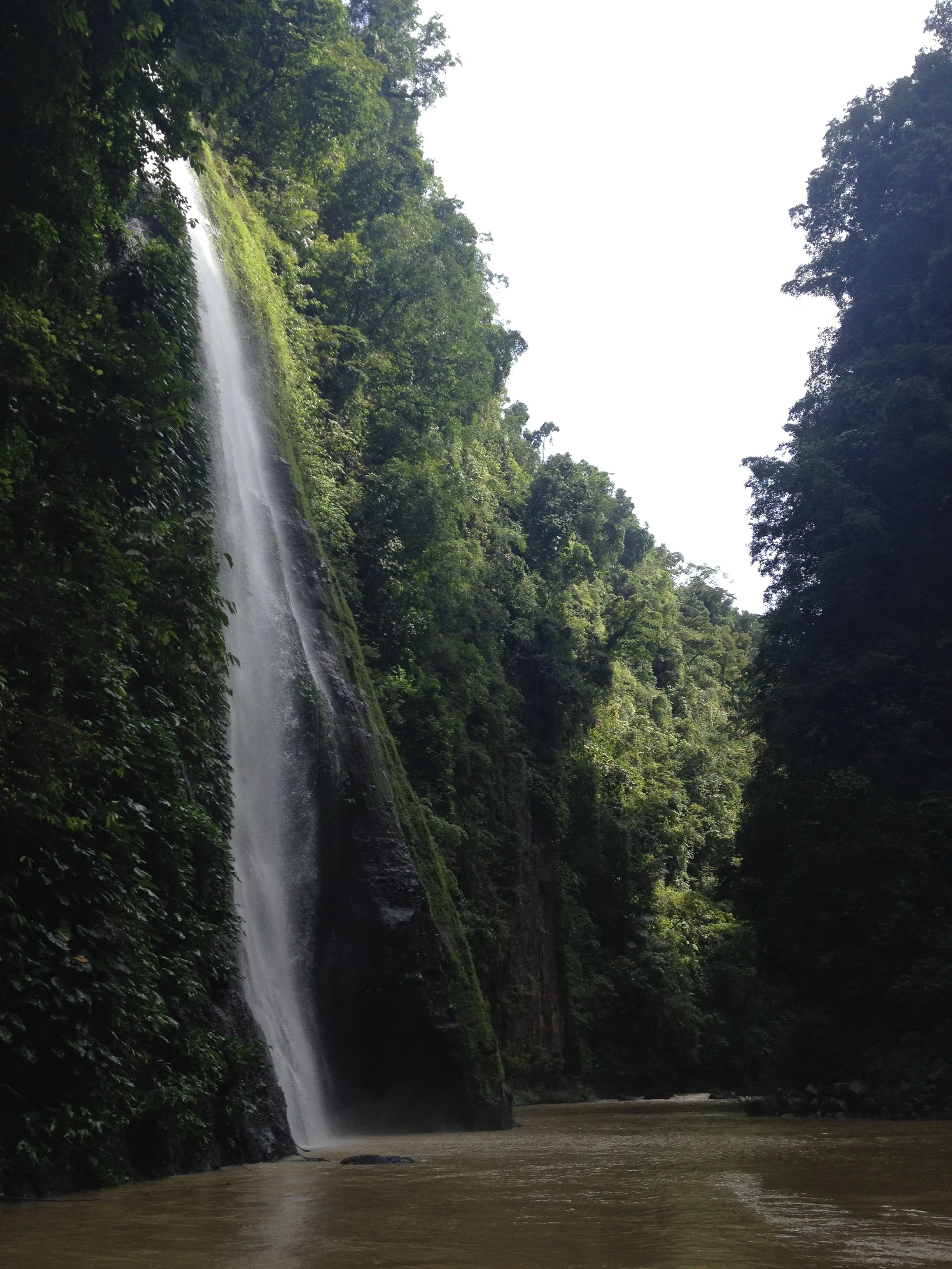 the beautiful talahib falls and pagsanjan gorge.