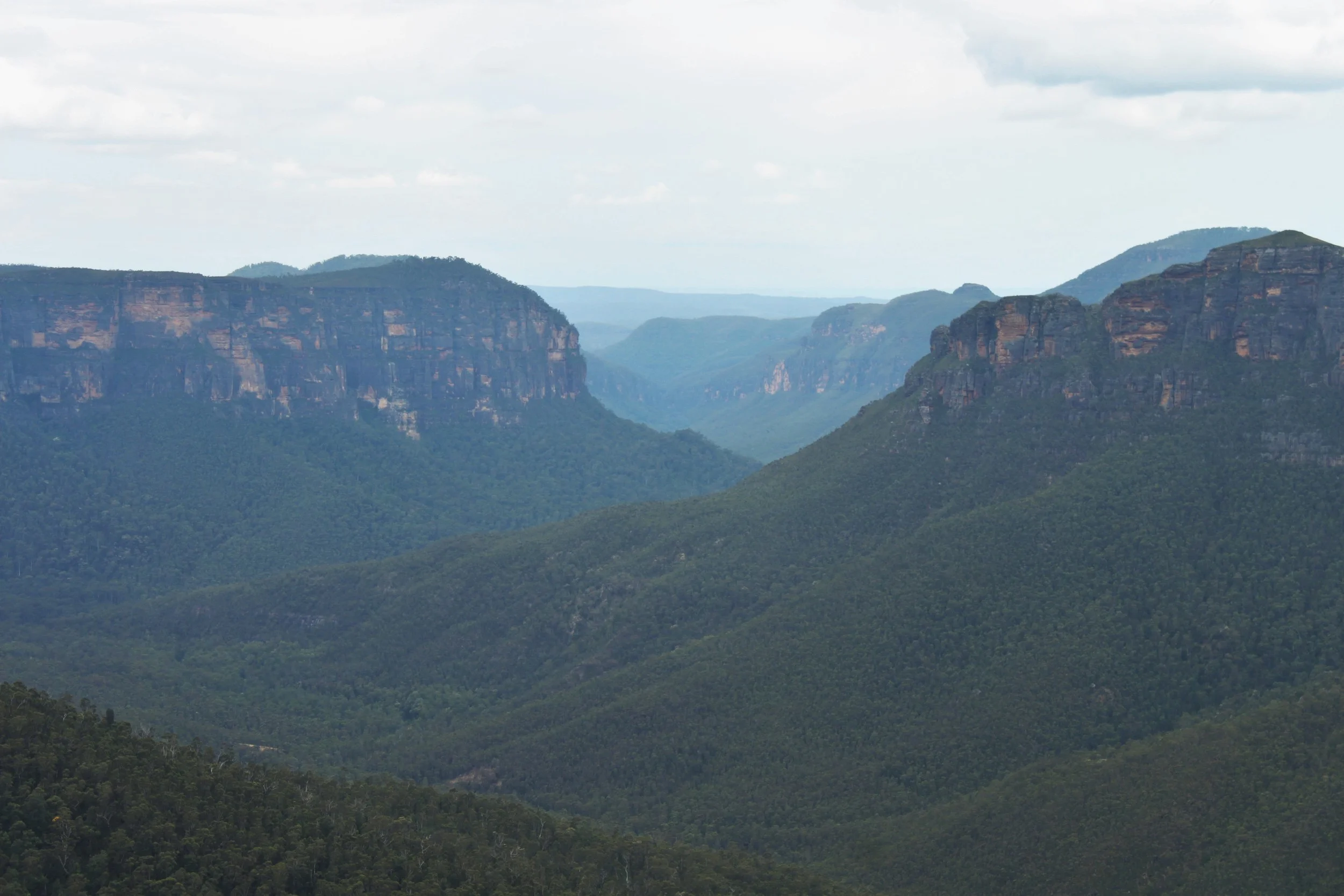 Blue Mountain National Park-- just 70 miles west of Sydney.