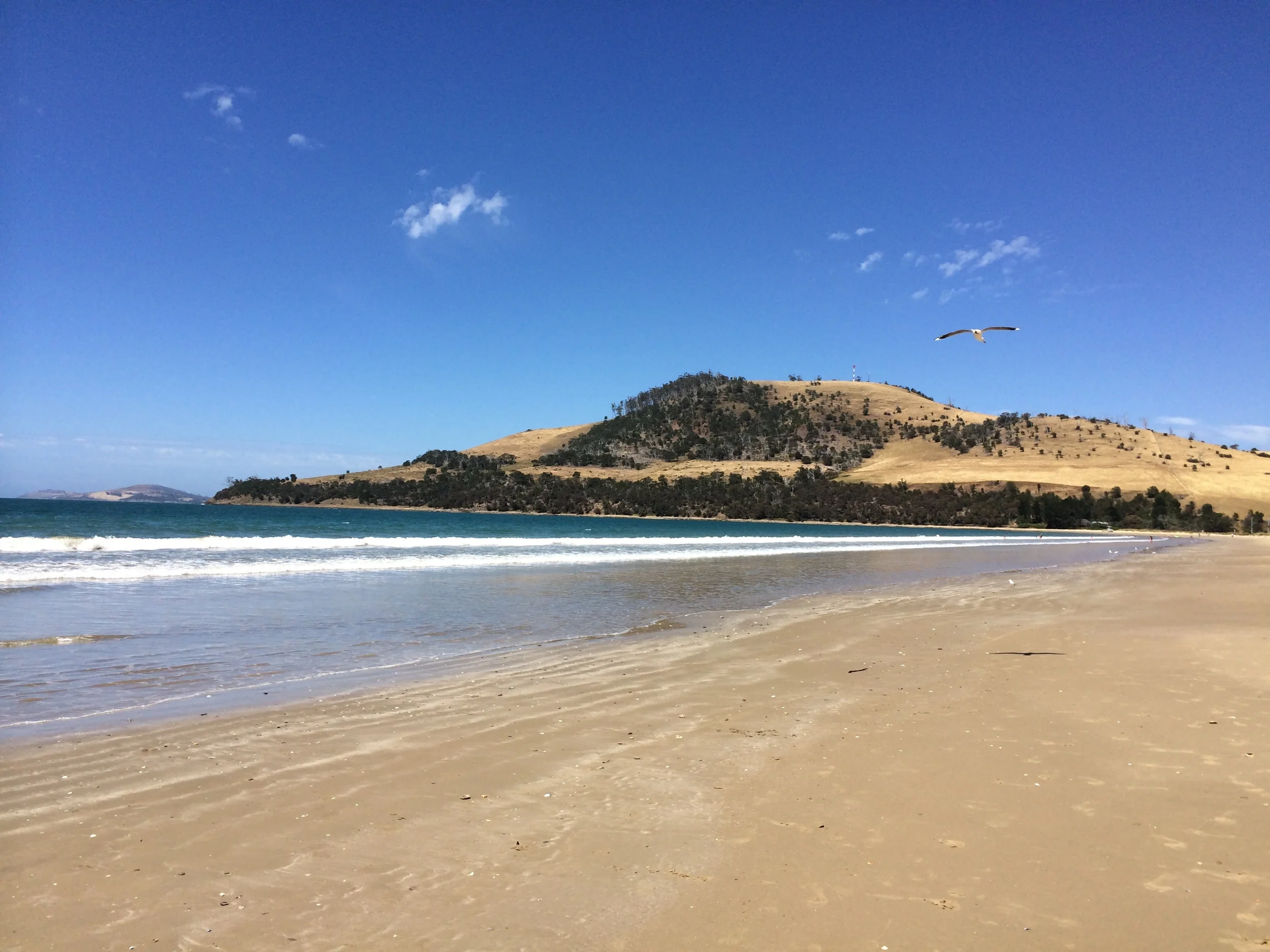 pretty hues of gold, turquoise, and dark green at seven mile beach.