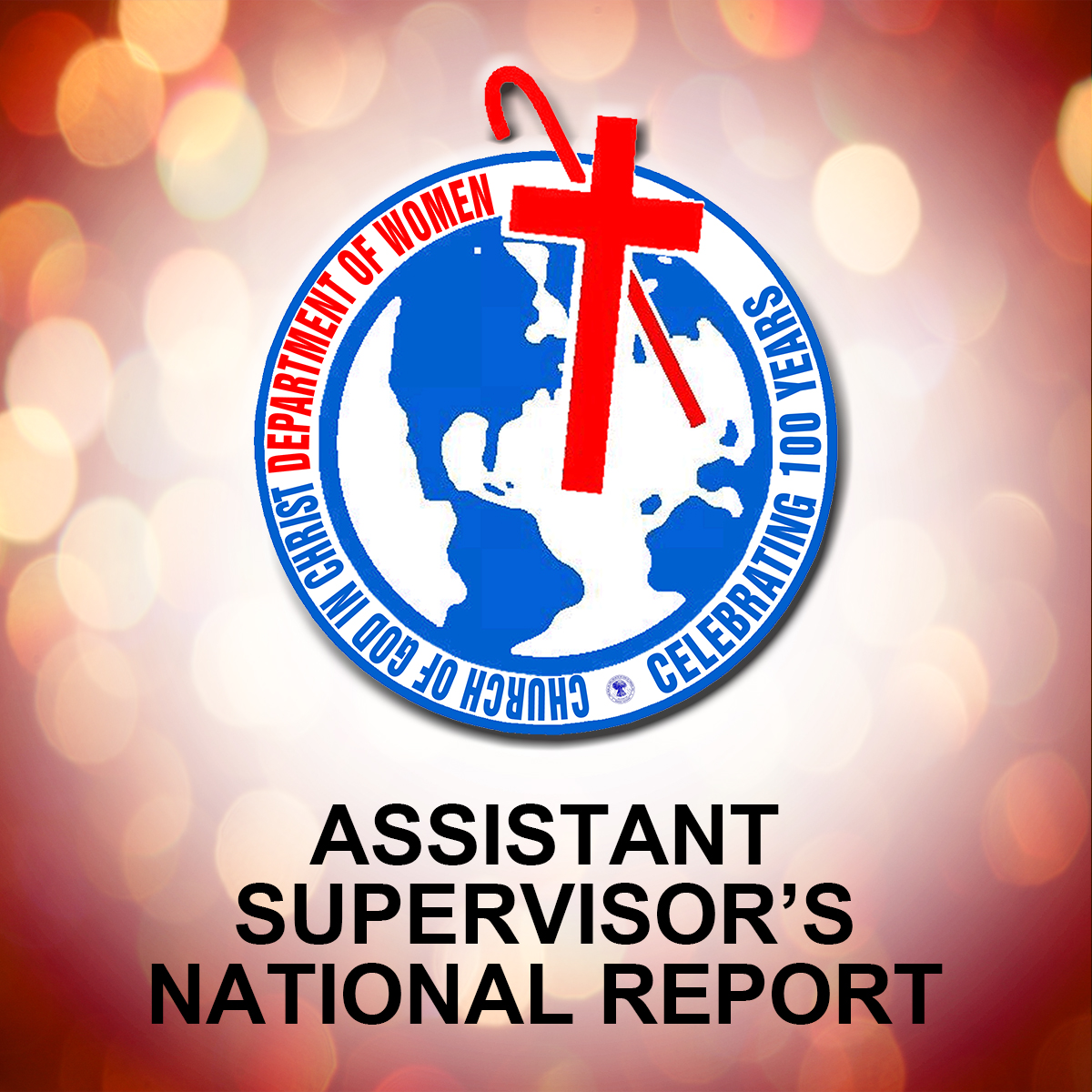 Assistant Supervisor's National Report
