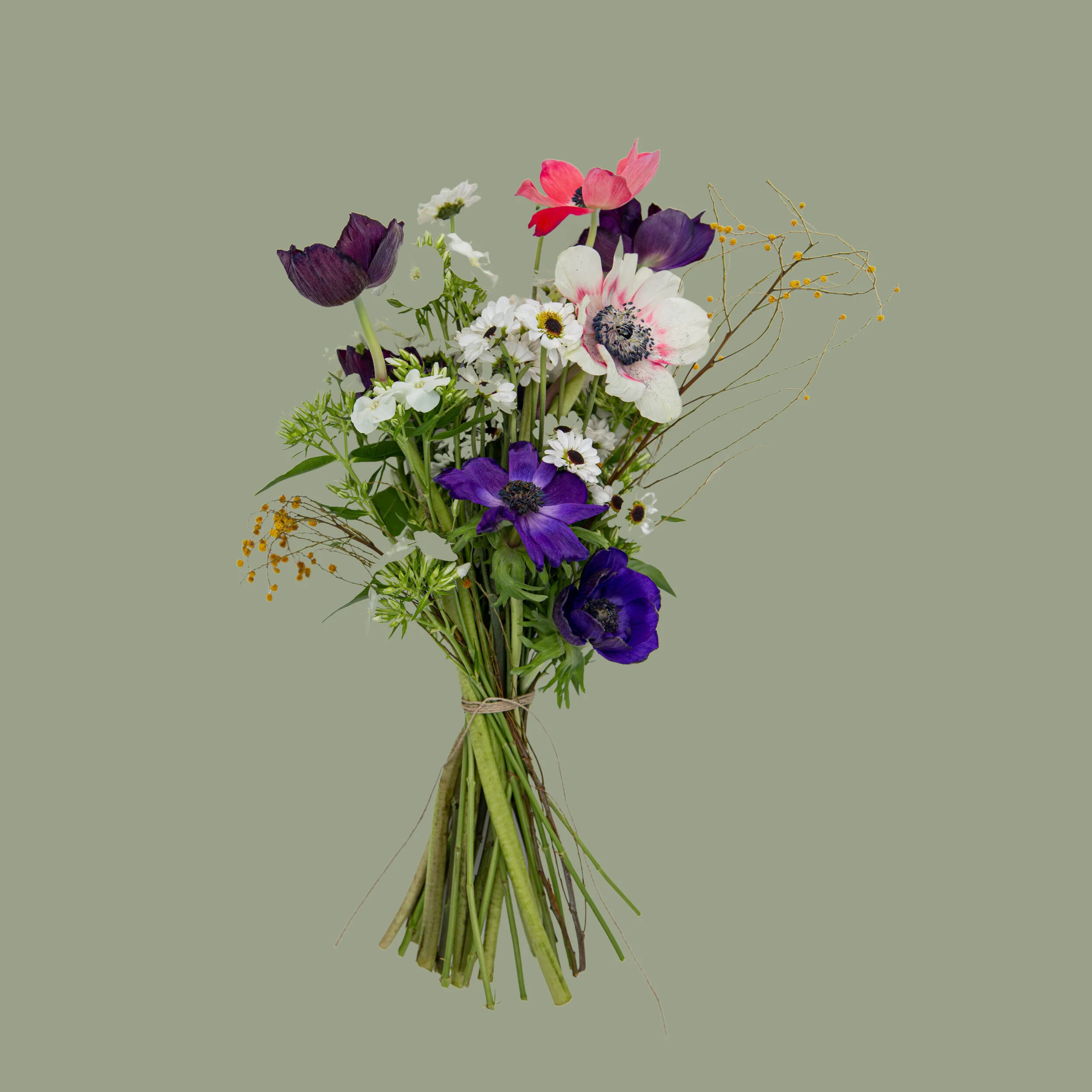 Whitagram-Image 44.JPG