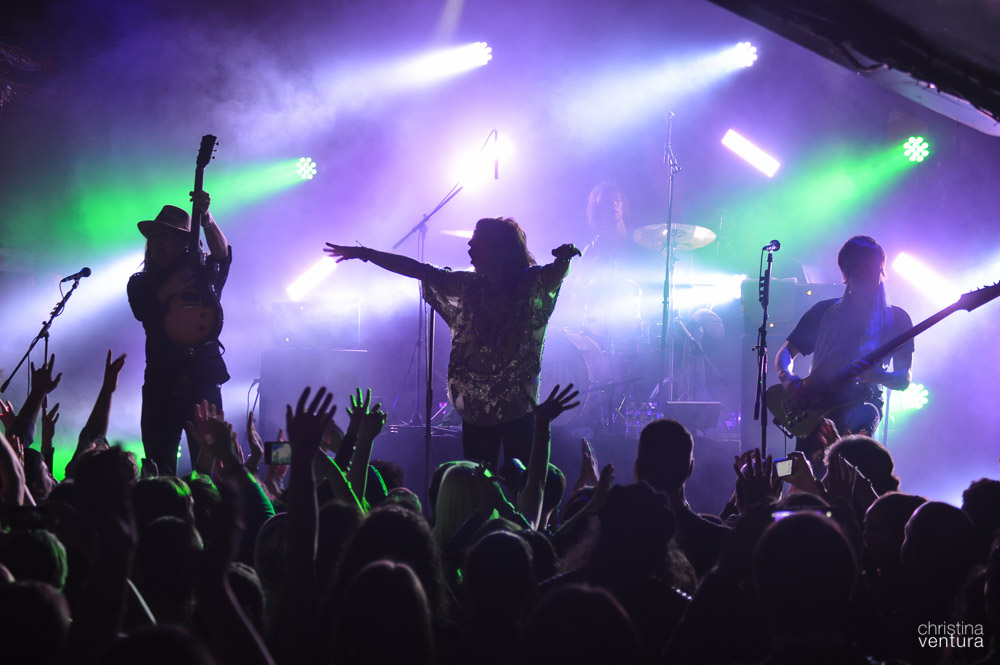 The Struts