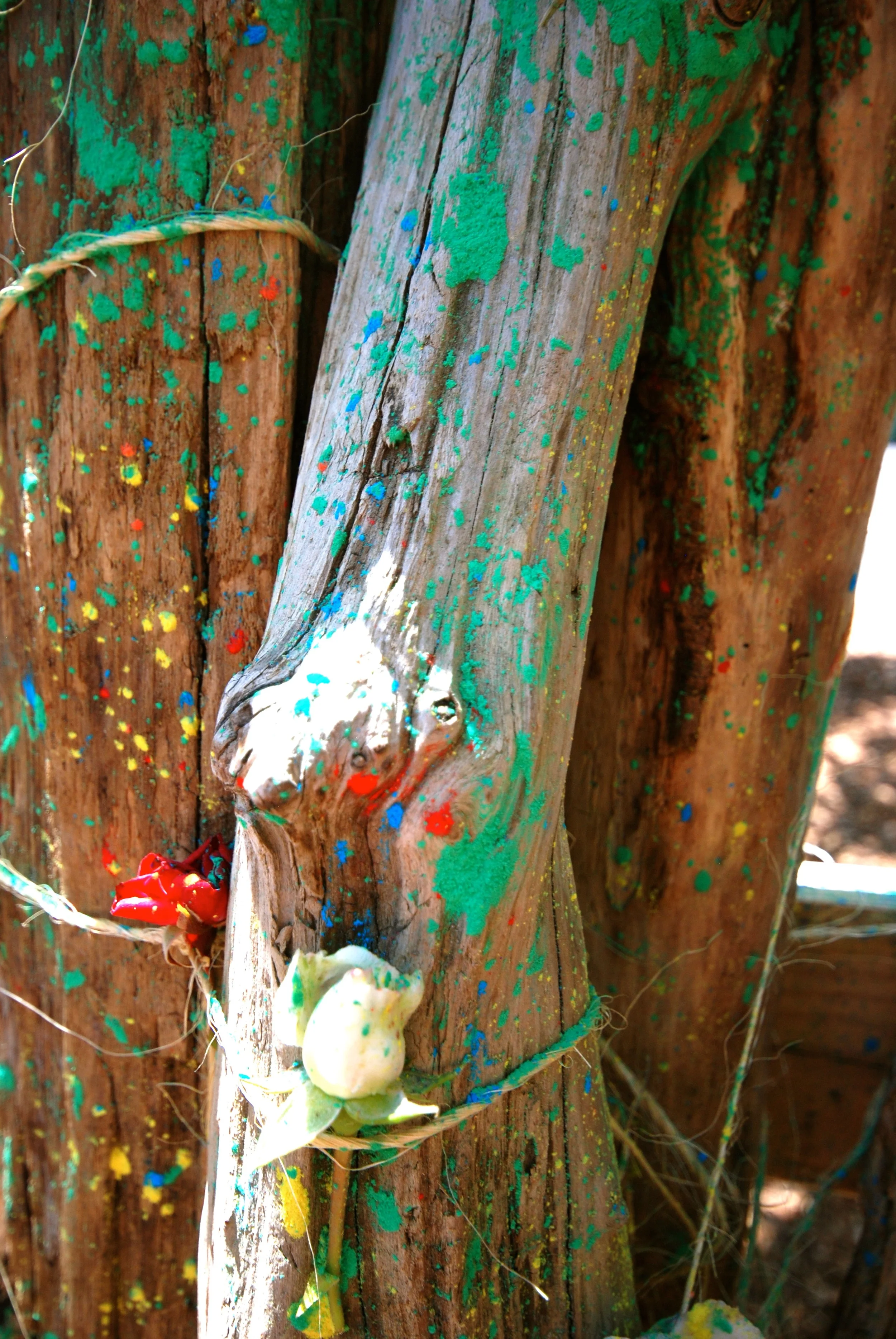 DSC_0037_007.jpg