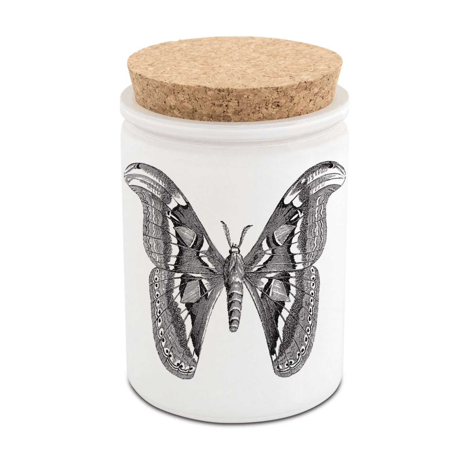 citronella.cork.moth.jpg