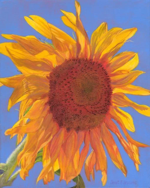 Janet Sessoms, Artist