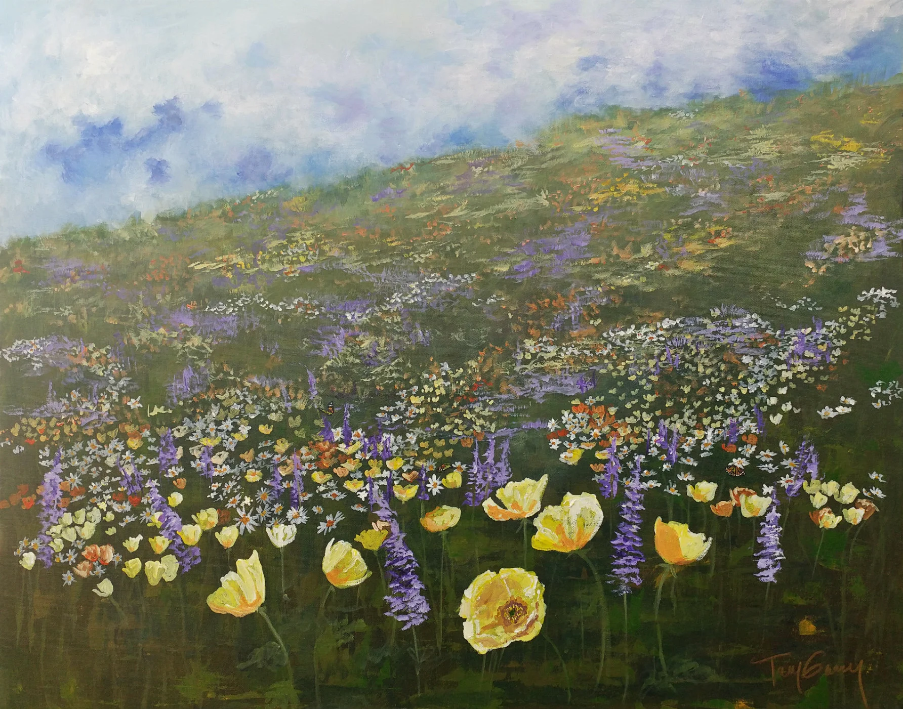 poppyfield.jpg