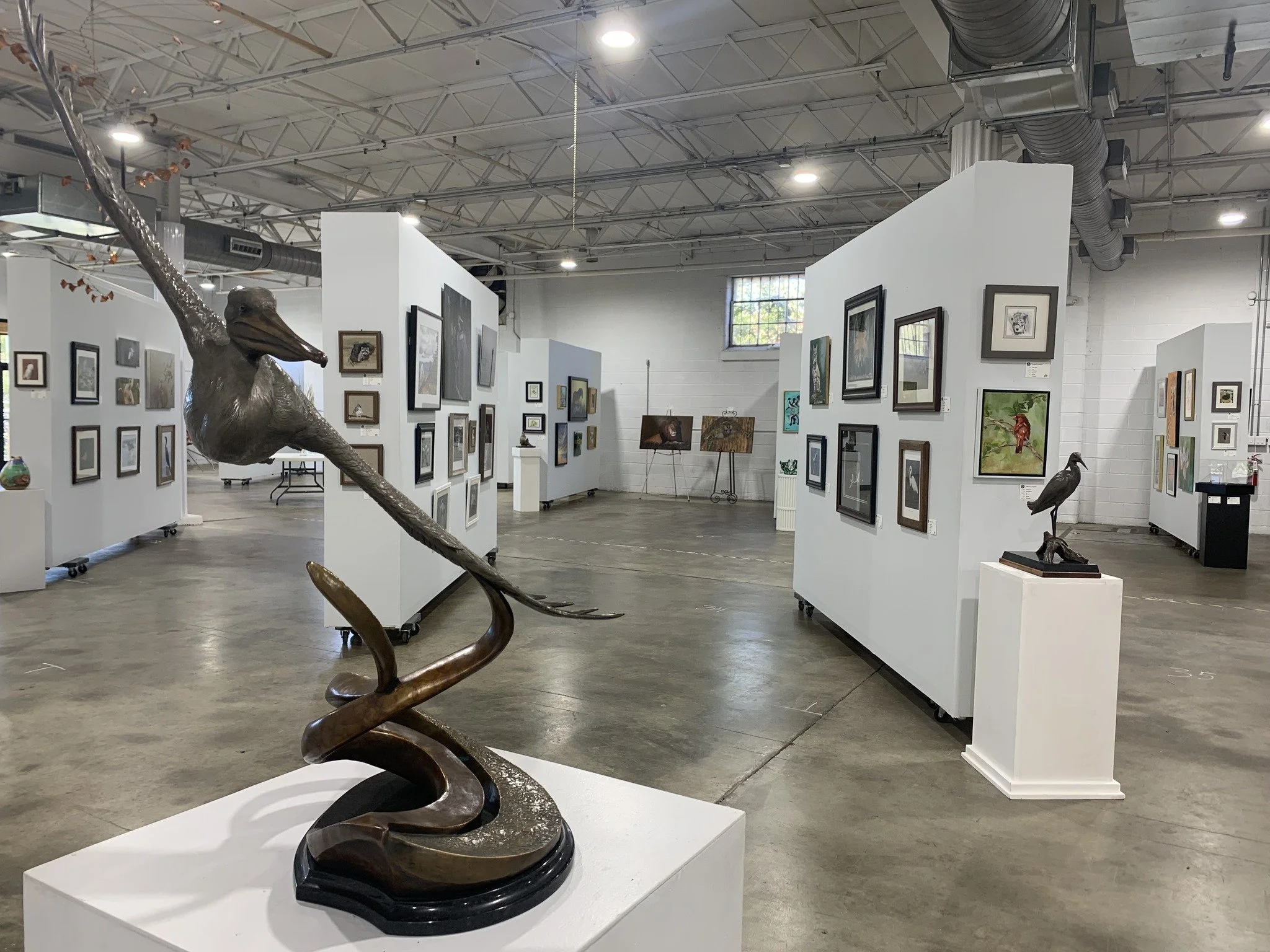Gallery Verrazzano Bird.jpg