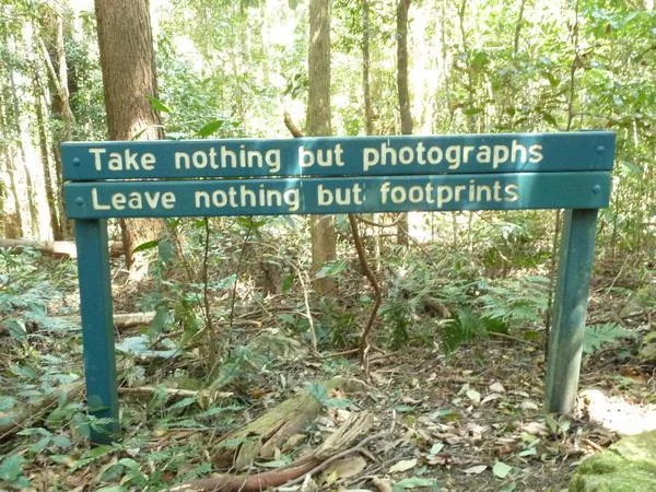 Trail Walk This Weekend! Come & Join Us @ Mt Mee