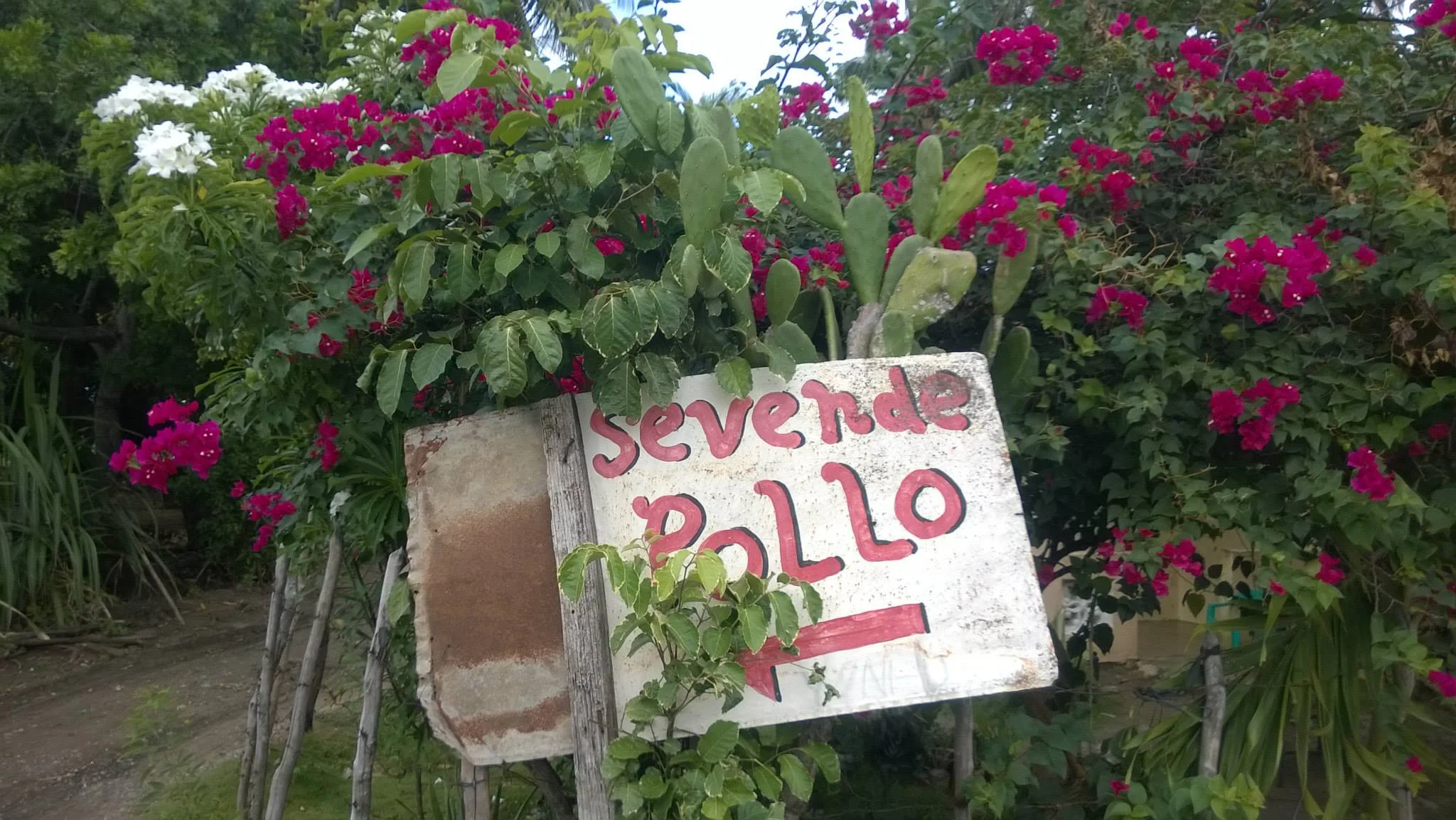 92.jpg