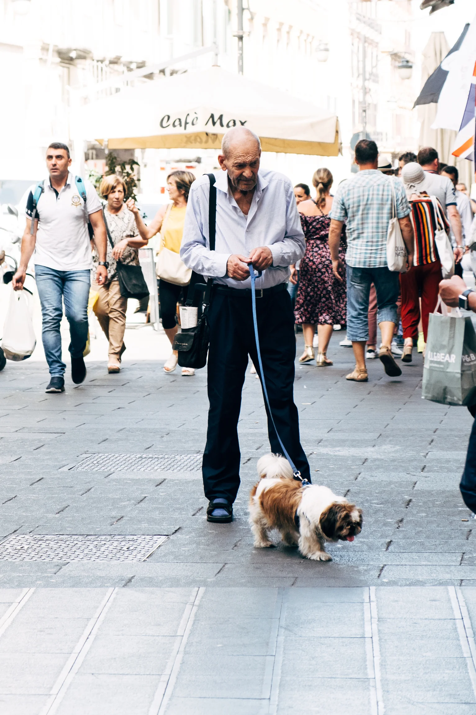 Lots of people, lots of good dogs