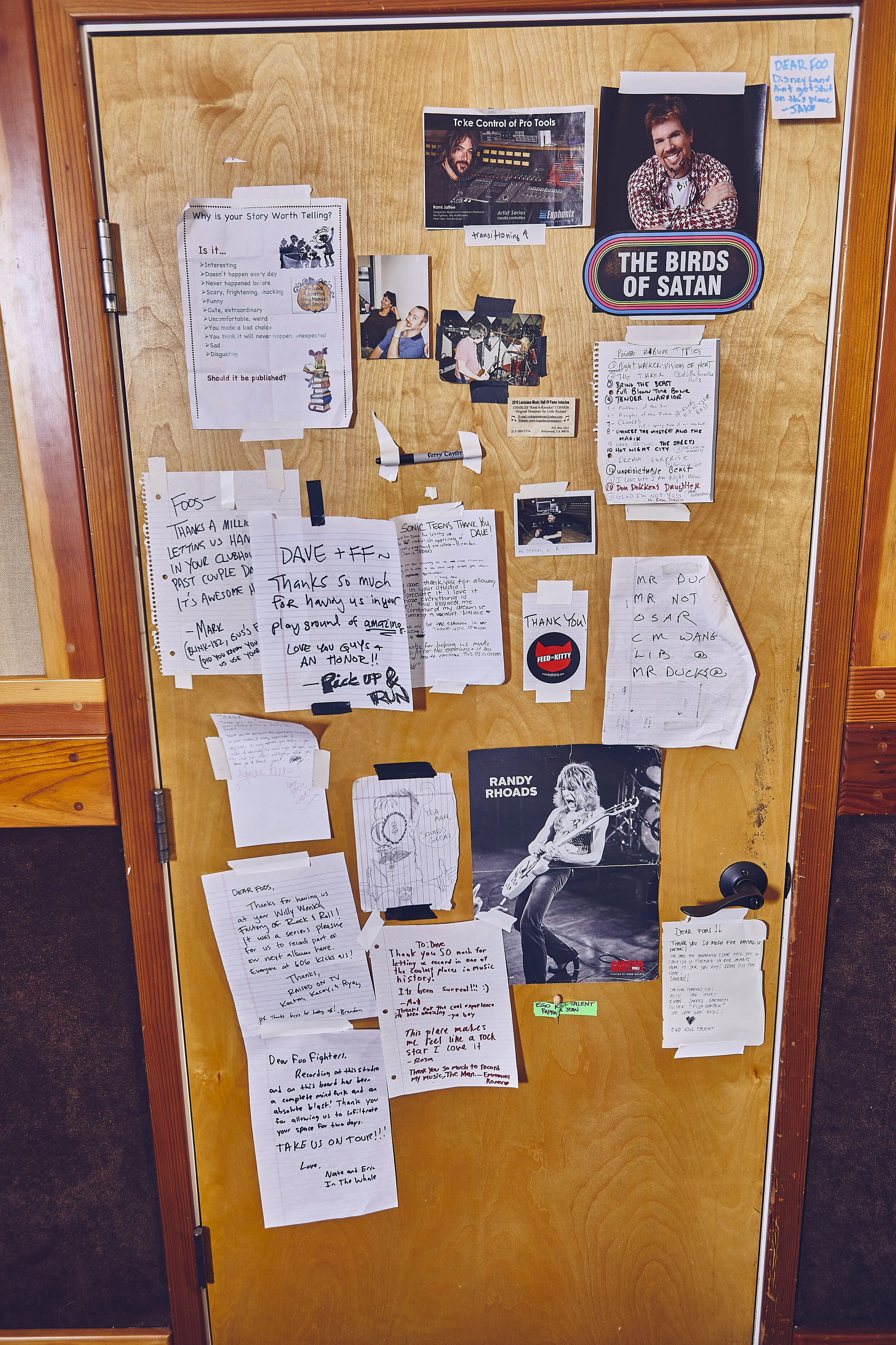 The Cribs8678.jpg
