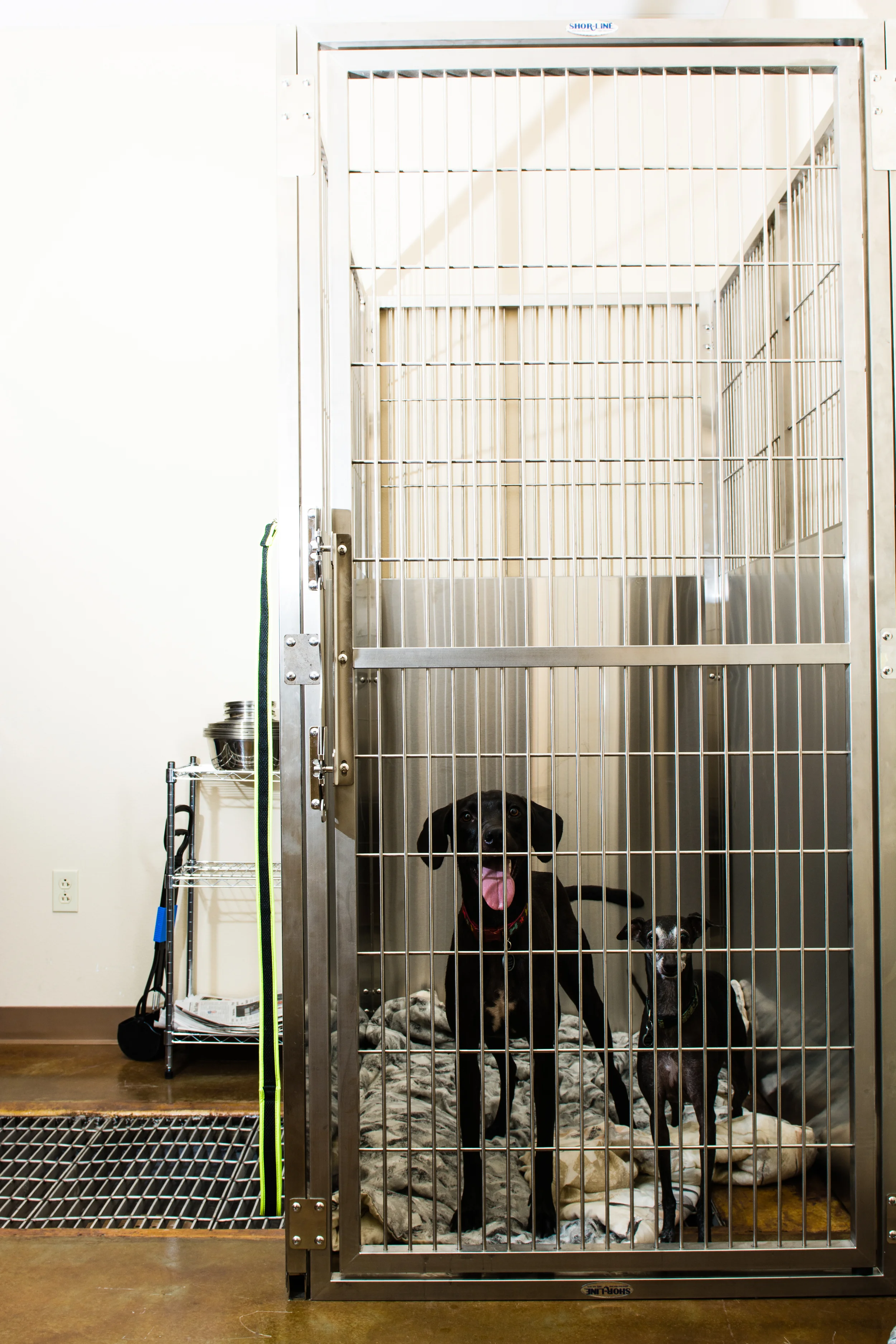 Large kennel