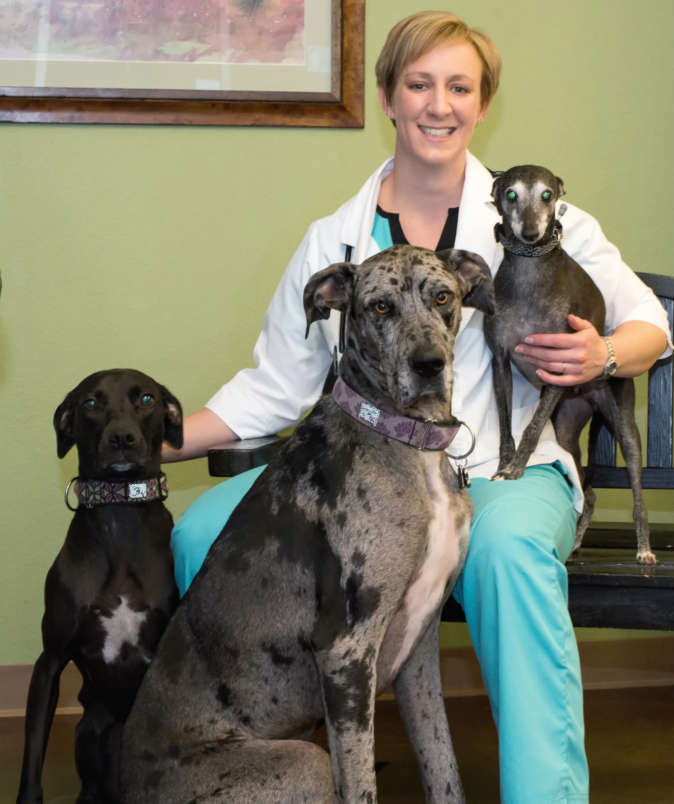 Meet our Staff Veterinarian Albuquerque La Cueva Animal Hospital