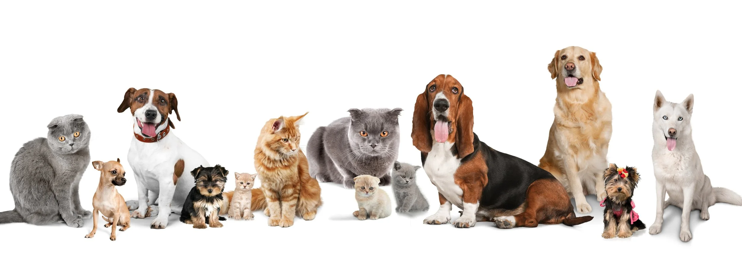 La Cueva Animal Hospital