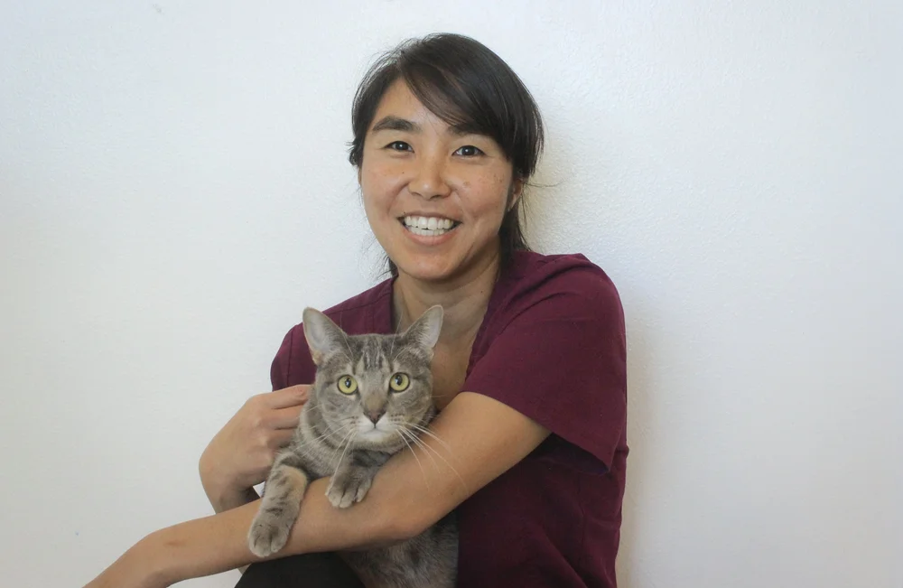Meet our Staff Veterinarian Albuquerque La Cueva Animal Hospital