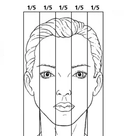 Ideal nasal width proportions