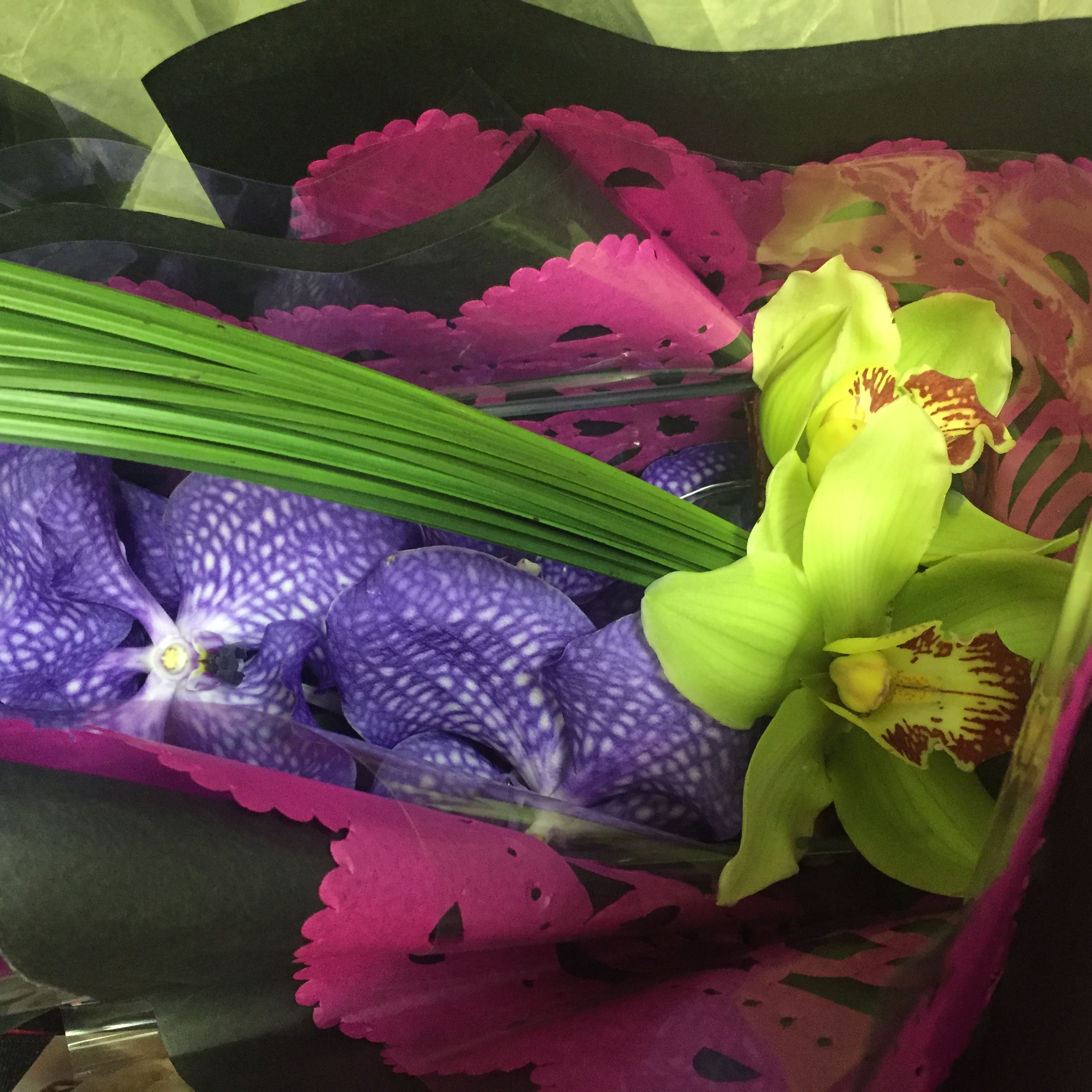 Flowers from a necklift patient, 7/2016