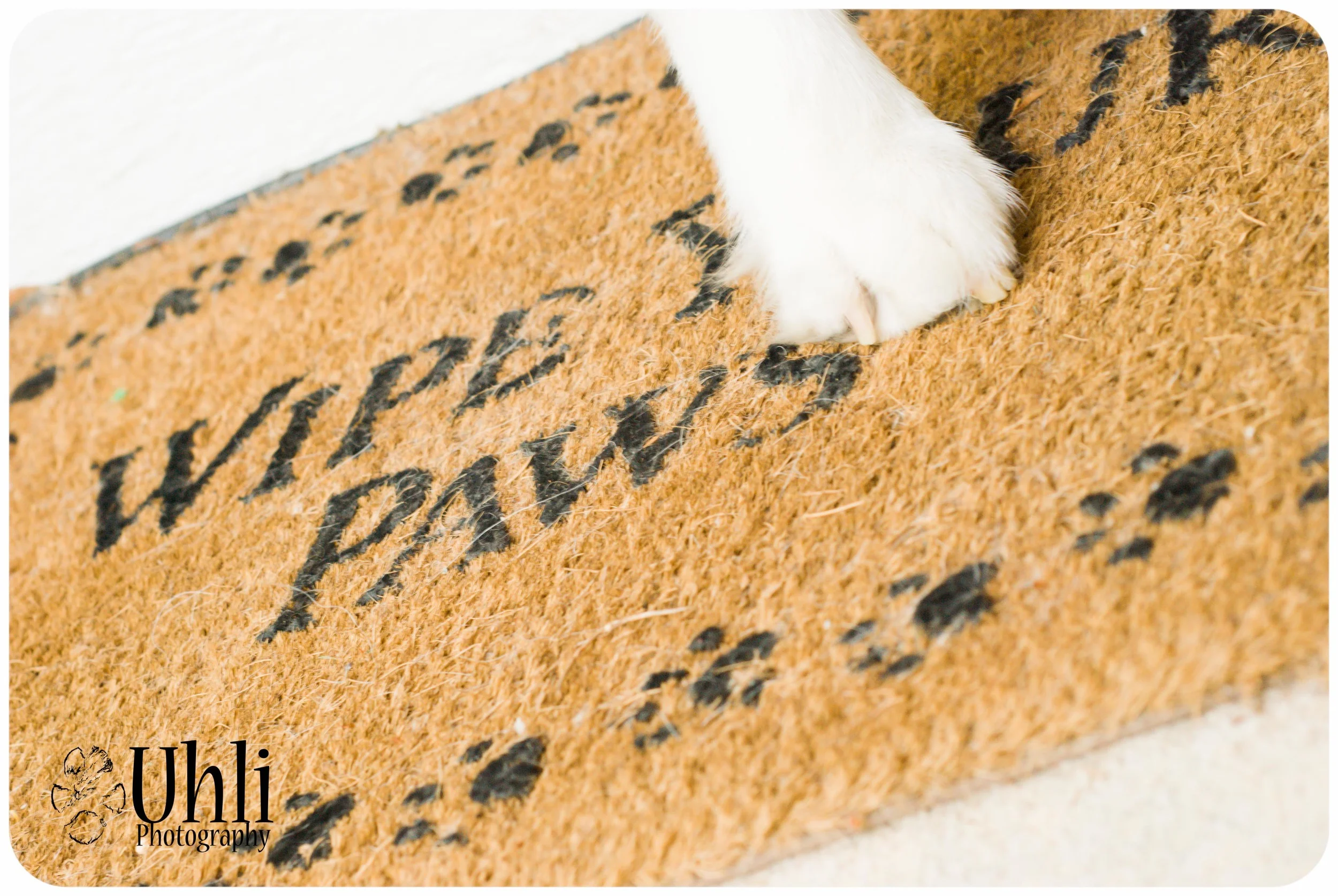 6.14.13 - Wipe your paws! :)