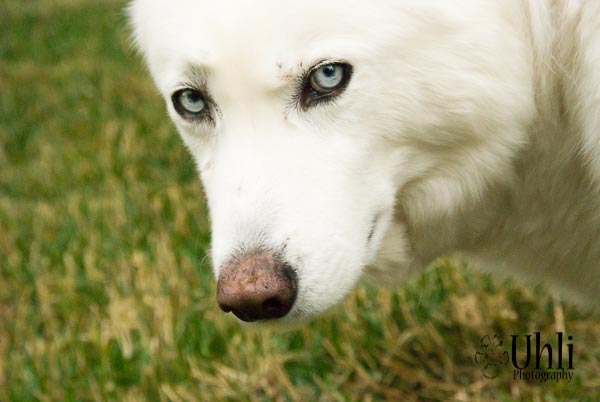 8.1.13 - The Look